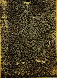 Untitled, manuscript 14