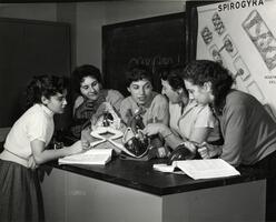 Students with professor examining anatomy models