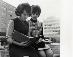 Two students reading on uptown  campus