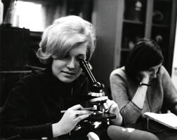 Student using microscope in lab